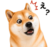 837509228