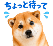 837509229