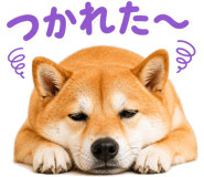837509230