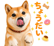837509232