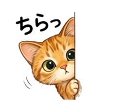 837512128