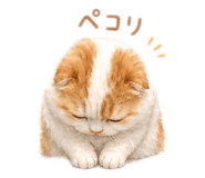 837516308