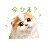 837516320