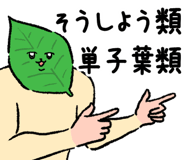 837516421