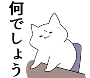 837520262