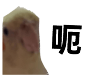 837526425