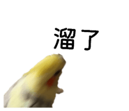 837526429