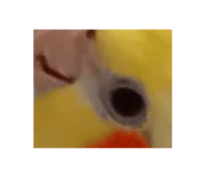 837526430