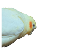 837526433