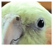 837526435