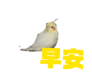 837526438