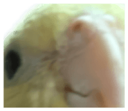 837526439