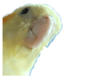 837526446