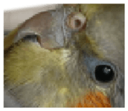 837526448
