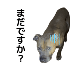 837531480
