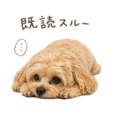 837536809