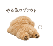 837536813