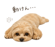 837536826