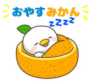837539948
