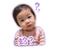 837540677