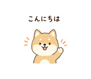 837541074