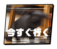 837542948