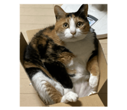 837545064