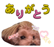 837545676