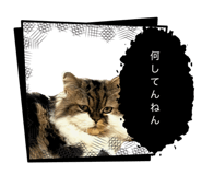 837546081