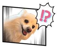 837546082