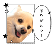 837546083