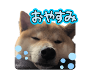 837546147