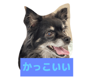 837546795