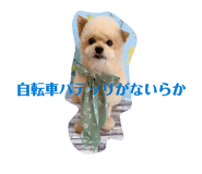 837546814