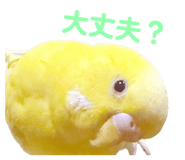 837546850