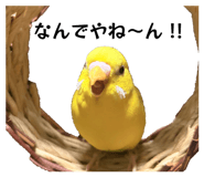 837546863