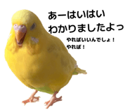 837546864