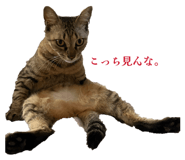 837547040