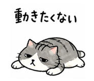 837547625