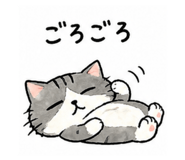 837547629