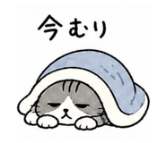 837547636