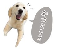 837548546