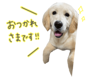 837548547