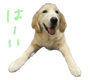 837548552