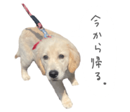 837548556