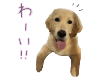 837548558