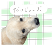 837548561