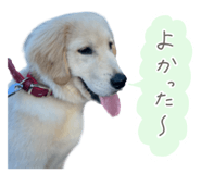 837548562