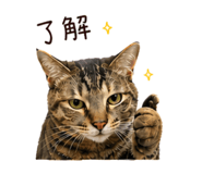 837549116