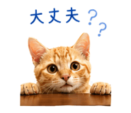 837549128